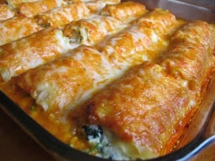 CHICKEN ALFREDO LASAGNA ROLLS