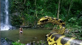 snake eats girl