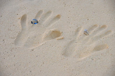 on the beach