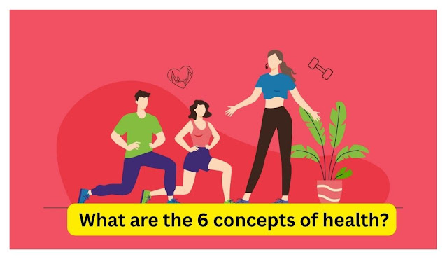  What are the 6 concepts of health?