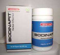 JUAL herbal untuk influ ensa # BODINAFIT