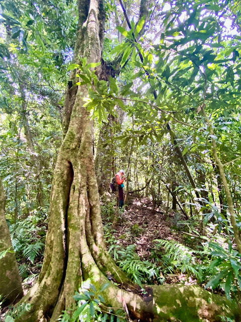 往松永山