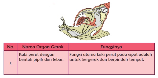  Materi dan Kunci Jawaban Tematik Kelas  Materi dan Kunci Jawaban Tematik Kelas 5 Tema 1 Subtema 1 Halaman 42, 43, 44, 46, 49