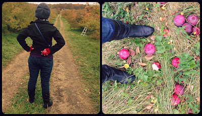 Fall adventures at the apple orchard