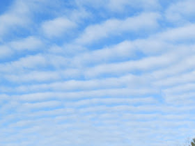 Stratocumulus undulatus clouds