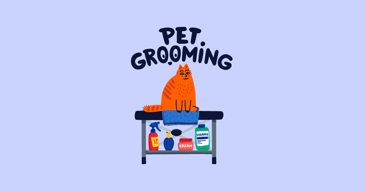 How to groom a cat