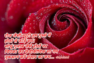 Rose day shayari in hindi