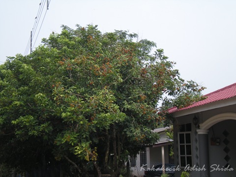 DSCN9119