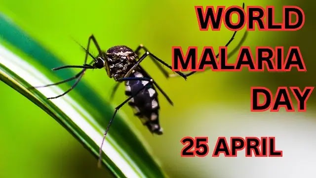 Malaria: Introduction, Symptoms, Differences, Effects, Treatment, Prevention