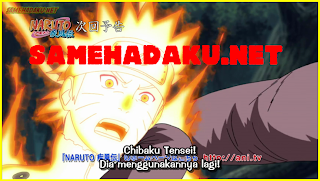 Naruto Shippuden 299 Subtitle Indonesia, Naruto Shippuden 299 Sub Indo, Naruto Shippuden episode 299, naruto shippuden 299, download naruto 299