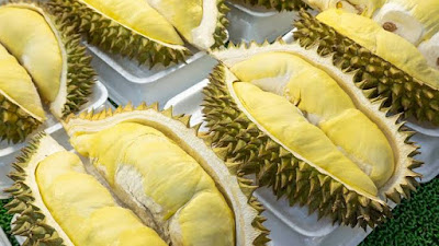 Besok, Solsel Gelar Festival Durian