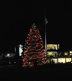 tree decorated at Dean College