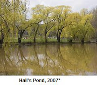 Photo: Hall's Pond, 2007