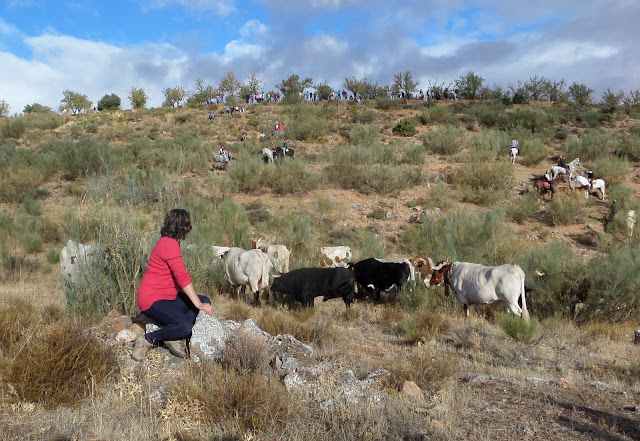 Lugros.Toros de la Peza