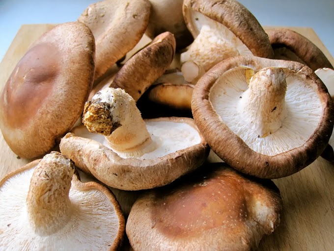 Mushrooms: Traditional Food of Asia | Fresh & dry mushrooms | Biobritte mushrooms