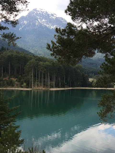 παράξενο πιρούνι, paraxeno pirouni