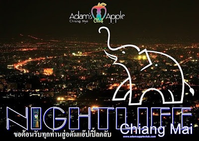 Nightlife Chiang Mai Adams Apple Club Host Bar Gay Bar Ladyboy Cabaret