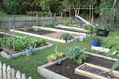 Vegetable gardening