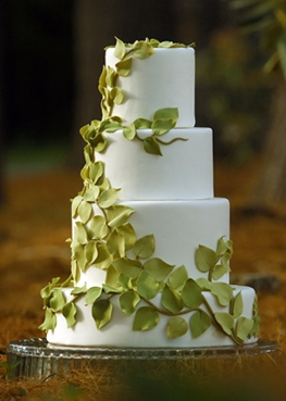  Wedding  Cakes  Pictures Cake  Designer Ana Parzych