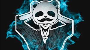 Panda Pubg Id Real Name Age Wiki Face Income And More