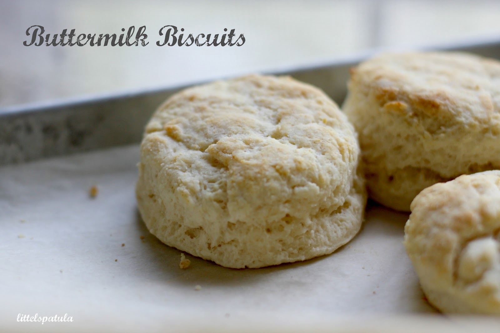 to biscuits Biscuits how Buttermilk perfect make  the buttermilk