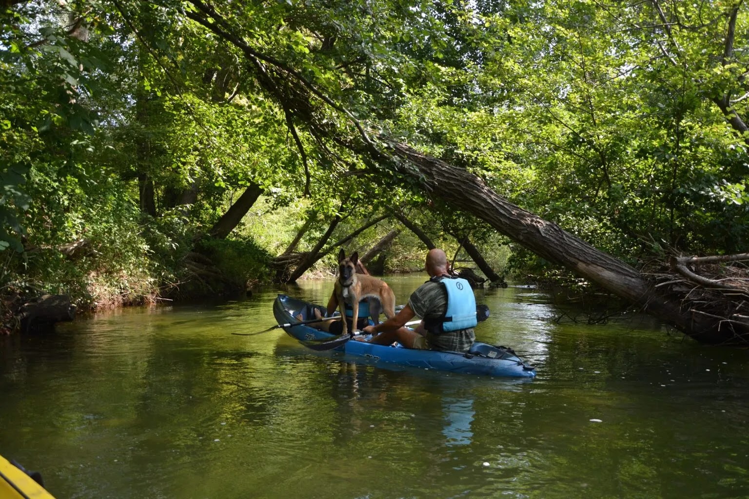 Νέστος: Ένας ποταμός με τοπία αρχέγονης, καθηλωτικής ομορφιάς