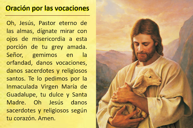 MI PARROQUIA DE LOS DOCE APÓSTOLES": OREMOS POR LAS VOCACIONES