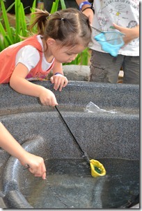 DSC_0039 DSC_0039