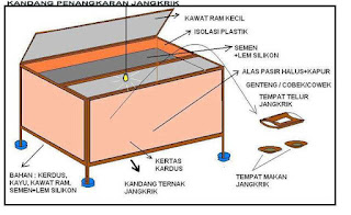  Langkah Bikin Kandang Jangkrik Yang Baik Serta Ideal