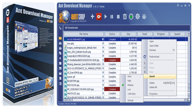 Ant Download Manager Pro 2.0.1 Full