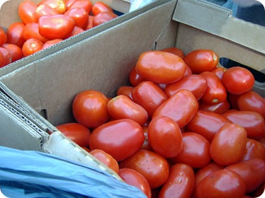 DSCF4028