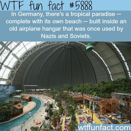 40 Amazing Random WTF Facts