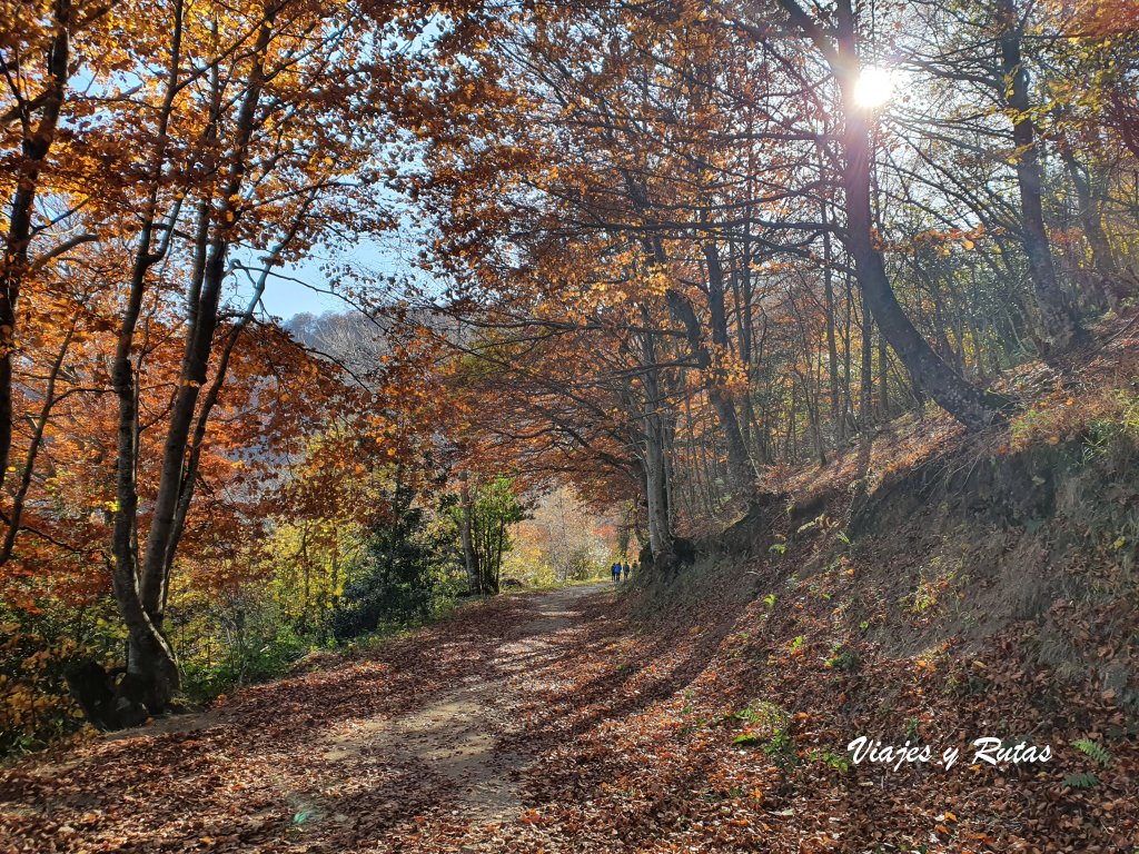 Ruta al Hayedo de Montegrande y la Cascada del Xiblu