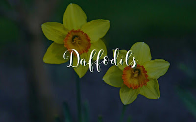 William Wordsworth Daffodils