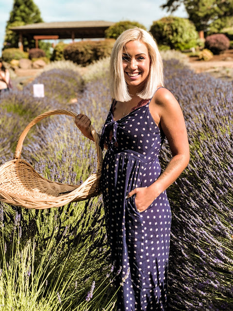 lavender farm oregon