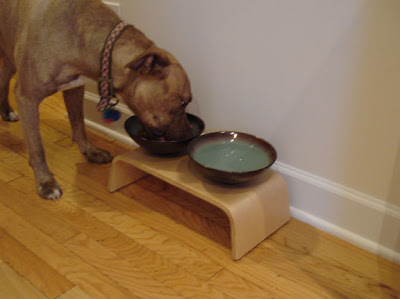dog bowl stand