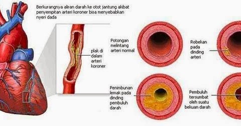 PUSAT RAWATAN ISLAM DAN TRADISIONAL WALINUR SYIFA 