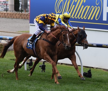 race 4_finish 1