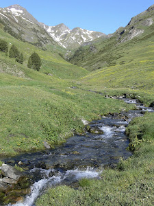 Vall de Vernatar vora Montgarri (Val d'Aran, 16 d'agost del 1883)