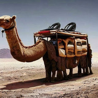 The Camelar Caravana