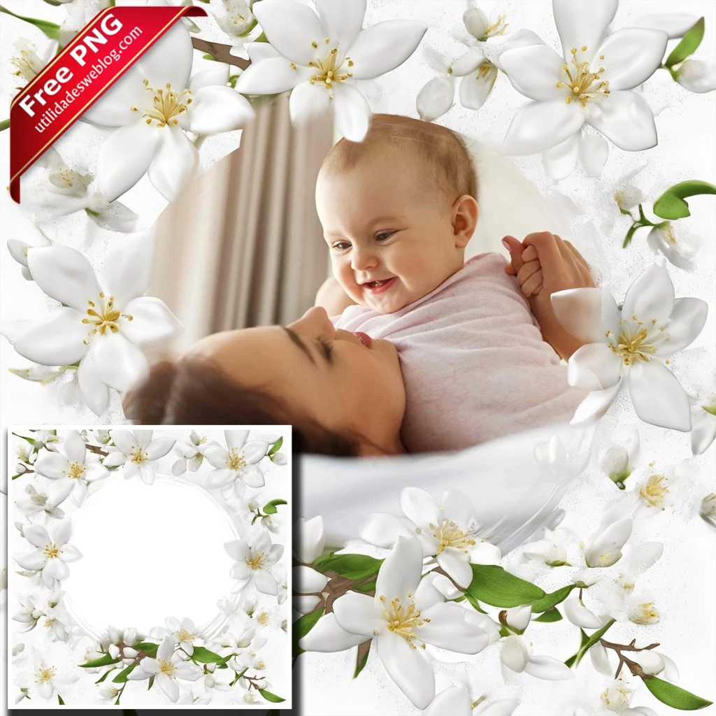 marco para fotos con flores de jasmin blancas en png con fondo transparente para descargar gratis