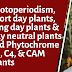 Photoperiodism, Short day plants, Long day plants & Day neutral plants and Phytochrome || C3 , C4, & CAM Plants