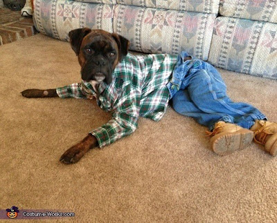 Mr. Dog is lying on the floor wearing jeans, boots and a flannel shirt. 