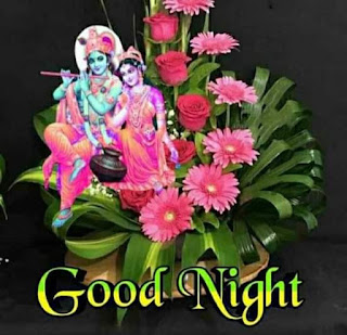 Good Night Radha Krishna Image.