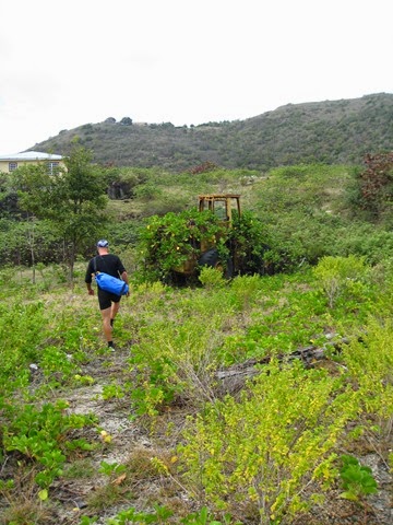 BVI (36)
