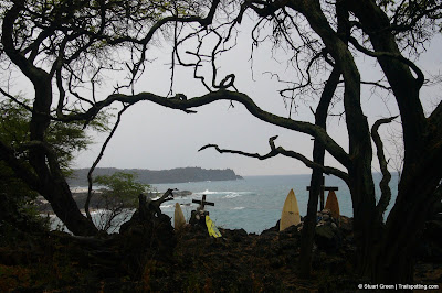 Gnarly trees framing a rough ocean backdrop. In the foreground is a broken surfboard and some wooden crosses.