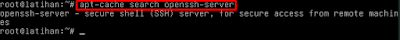 SSH Server ( Remote Access ) dengan Debian 8 Server