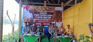 Pemerintah Kabupaten Soppeng Melaksanakan Panen Padi Nusantara 1 Juta Hektar