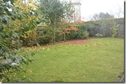garden_resize