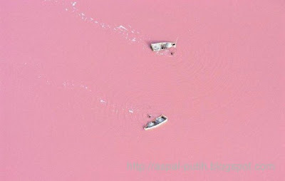 danau merah jambu